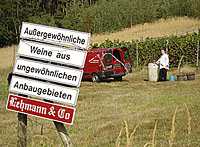 Wolfgang Lehmann